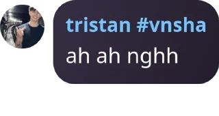 Sticker from tristan #vnsha pack by @QuotLyBot