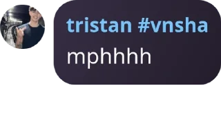 Sticker from tristan #vnsha pack by @QuotLyBot