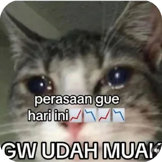 😕 emoji ahihihi Telegram sticker 21 of 40