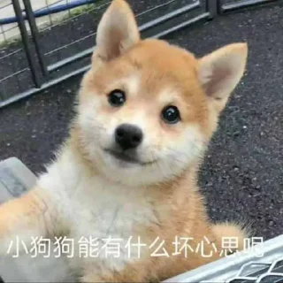 😃 emoji 小白 Telegram sticker 5 of 39