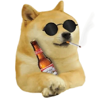 🍺 @dont_open_this_channel, Telegram sticker 6 of 19