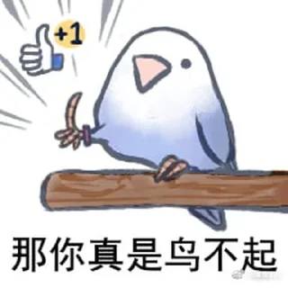 🦜 emoji 傻鸟 @emo315 Telegram sticker 22 of 60