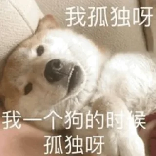👈 emoji 给个机会？ @OB1314 Telegram sticker 9 of 56