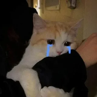 😭 emoji @awwXsum 𝐂𝐮𝐓𝐢𝐞 𝐂𝐚𝐓𝐬! Telegram sticker 7 of 60