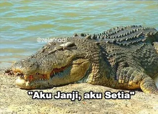 🐊 emoji Peliharaan nya @psychologyeol Telegram sticker 15 of 32
