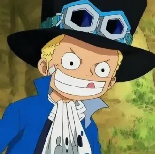 ✨ emoji One Piece | @StrawH4ts Telegram sticker 21 of 119