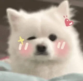 🌟 emoji punya vouu @Kemejav Telegram sticker 17 of 36