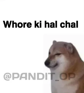 🇨🇲 SEXY BOI CHEEMS @PANDIT_OP, стікер Telegram 13 з 18