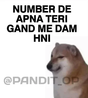 🔥 SEXY BOI CHEEMS @PANDIT_OP, стікер Telegram 4 з 18