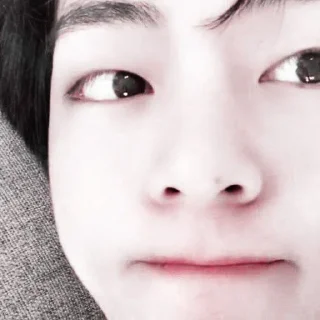 🦩 emoji Taehyung soft @aesthaticgirll Telegram sticker 21 of 25