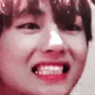🦩 emoji Taehyung soft @aesthaticgirll Telegram sticker 24 of 25