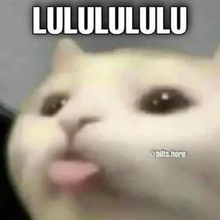 ❤️ emoji ❍ 𝙆𝙖𝙠𝙖𝙧𝙤𝙩's sᴛɪᴄᴋᴇʀ ᴘᴀᴄᴋ (@Critical_pro_bot) Telegram sticker 19 of 62