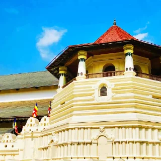 🟢 සිංහල ස්ටිකර් 🇱🇰 @games_softwares_community, Telegram sticker 19 of 39