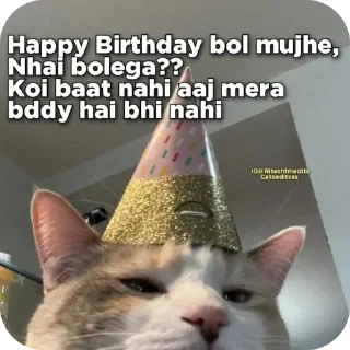🐱 quotes - @shit_posting_meme, sticker Telegram 23 sur 118