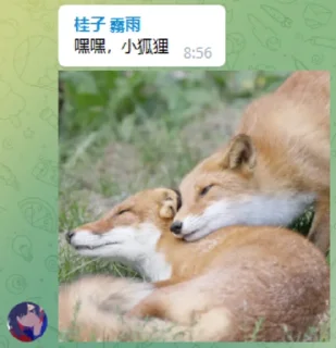 🍤 黎黎和她的朋友们, стикер Telegram 10 из 49