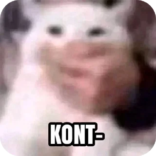 Xion
