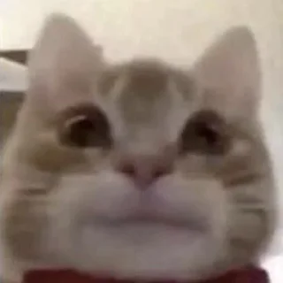 😡 sin, стікер Telegram 13 з 58