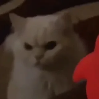 😡 sin, стікер Telegram 5 з 58