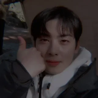 🦅 ⎙ ⁝ cha eun-woo @oceanbea 〄 ִֶָ, стикер Telegram 22 из 41