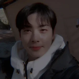🦅 ⎙ ⁝ cha eun-woo @oceanbea 〄 ִֶָ, стикер Telegram 21 из 41