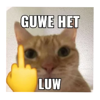 🐱 indo meme :: @zoepasoup, стікер Telegram 23 з 95