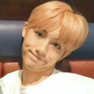 🤓 NCT meme OT23 by @stickernct, Telegram sticker 12 of 41