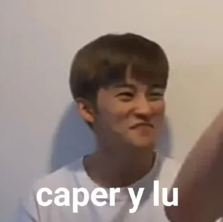 😍 ⌕ meme nct by @stickernct, Telegram sticker 9 of 40