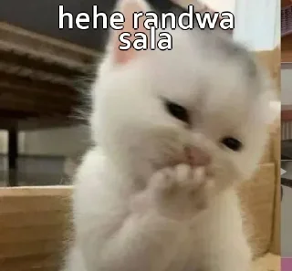 🙂 Uff🌝randi, Telegram sticker 6 of 42