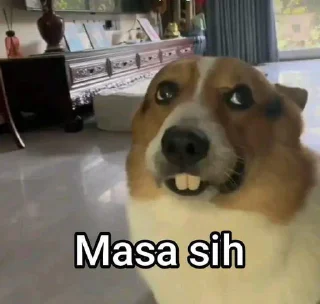 Absurd Humor @AIZUW4N