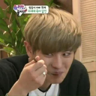 Chanyeol Meme @EDITORSAGAZ
