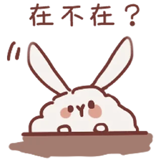 Rabbit