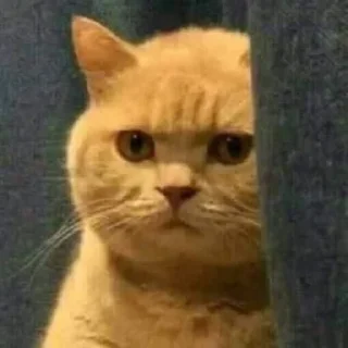 😡 Funny, Telegram sticker 17 of 28