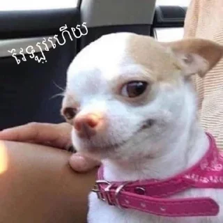 🙄 Funny, Telegram sticker 16 of 28