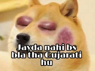 😁 Chutiya Killer Gandu No-1, стікер Telegram 10 з 55