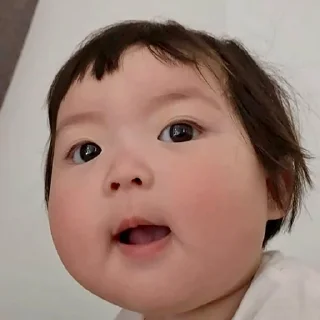兔兔露釘