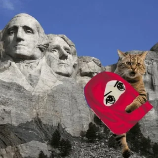 @Thief_Cattt $NAMI_KOL