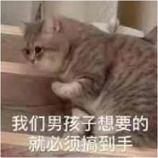 小动物能有什么坏心眼呢 @xiaotianxinya