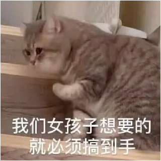 小动物能有什么坏心眼呢 @xiaotianxinya