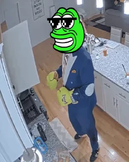 🐸 Pepe Chain | @PepeChainPC, стикер Telegram 6 из 25