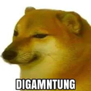 😭 kontol, Telegram sticker 4 of 33