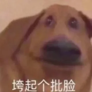 😁 揣手手 @FLLDaoHang 表情站 @biaoqingbao02, стикер Telegram 17 из 61