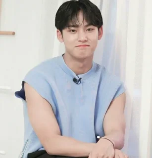 🏂 ⋆ Kim Mingyu @Leejenooe, sticker Telegram 20 sur 90