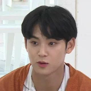 🔗 Kim mingyu | ⛩ ❬ @gubukseni ❭, стікер Telegram 19 з 41