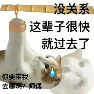 🧸 给月月用, стикер Telegram 5 из 49
