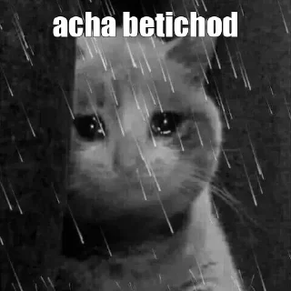 [ PAIN IN RAIN ]