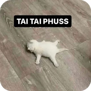 🐱 DEAD ⚚, стікер Telegram 8 з 44