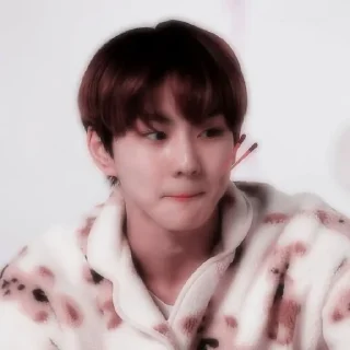 🌸 cutie jungwon @GardenYyangO4, Telegram sticker 8 of 28