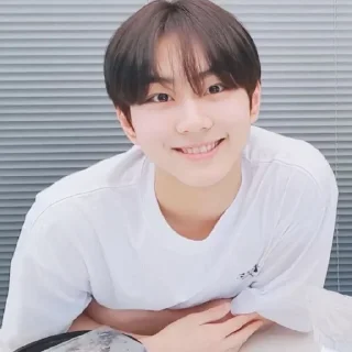 🐈 jungwon julid @GardenYyangO4, стікер Telegram 6 з 65
