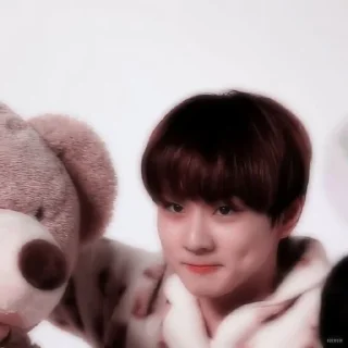 🌸 cutie jungwon @GardenYyangO4, Telegram sticker 11 of 28