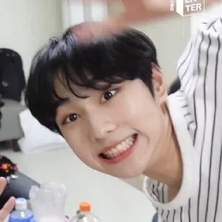 🐈 jungwon julid @GardenYyangO4, стікер Telegram 20 з 65